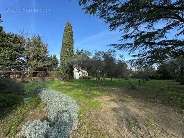 Maison à SAINT-MARTIN-DE-CRAU