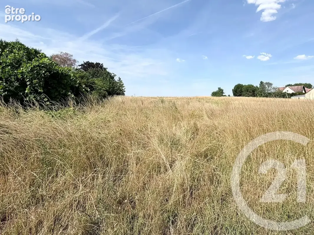Terrain 945 m² à vendre à Maison-Rouge (77370) - photo 2