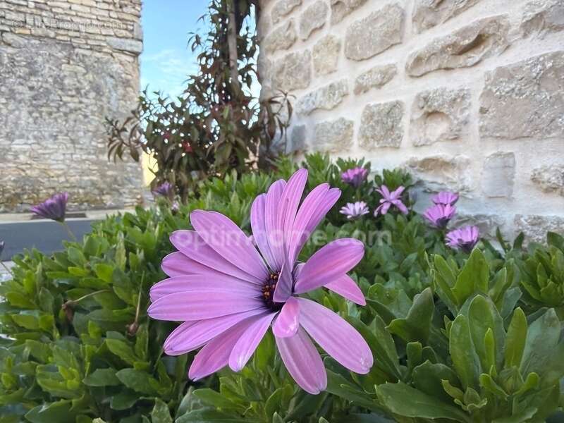 Maison à LE BOIS-PLAGE-EN-RE
