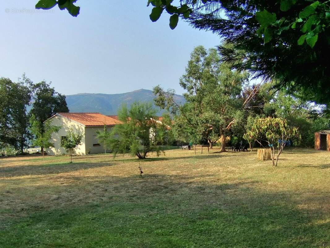 Maison à vendre 7 pièces PRADES (66) - photo 20
