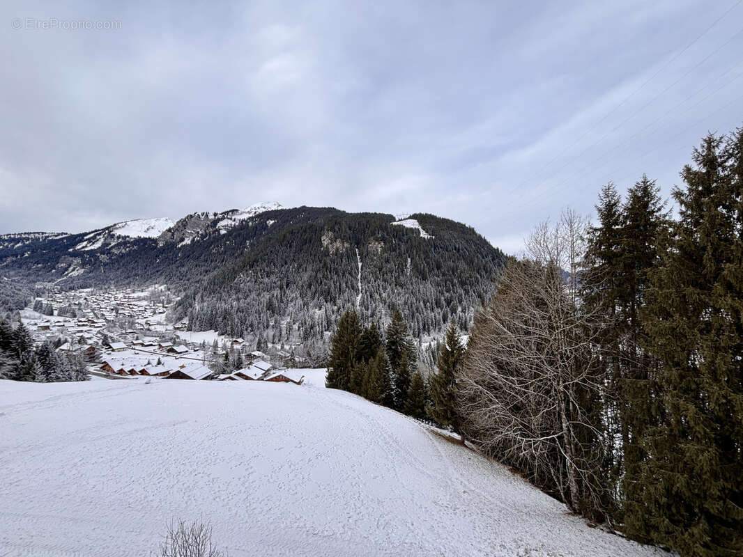 Appartement à CHATEL