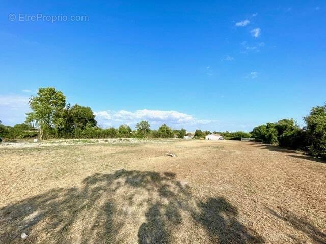 Terrain à SAINT-CREPIN
