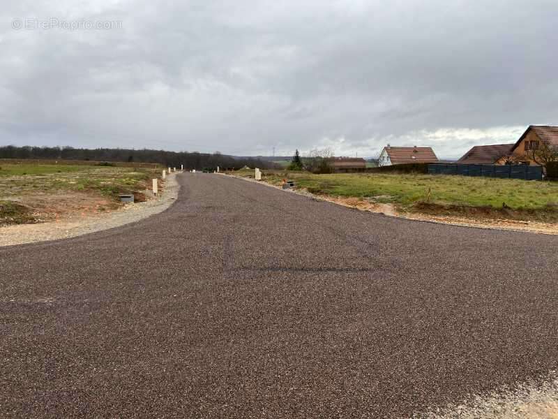 Terrain à SAINTE-SUZANNE