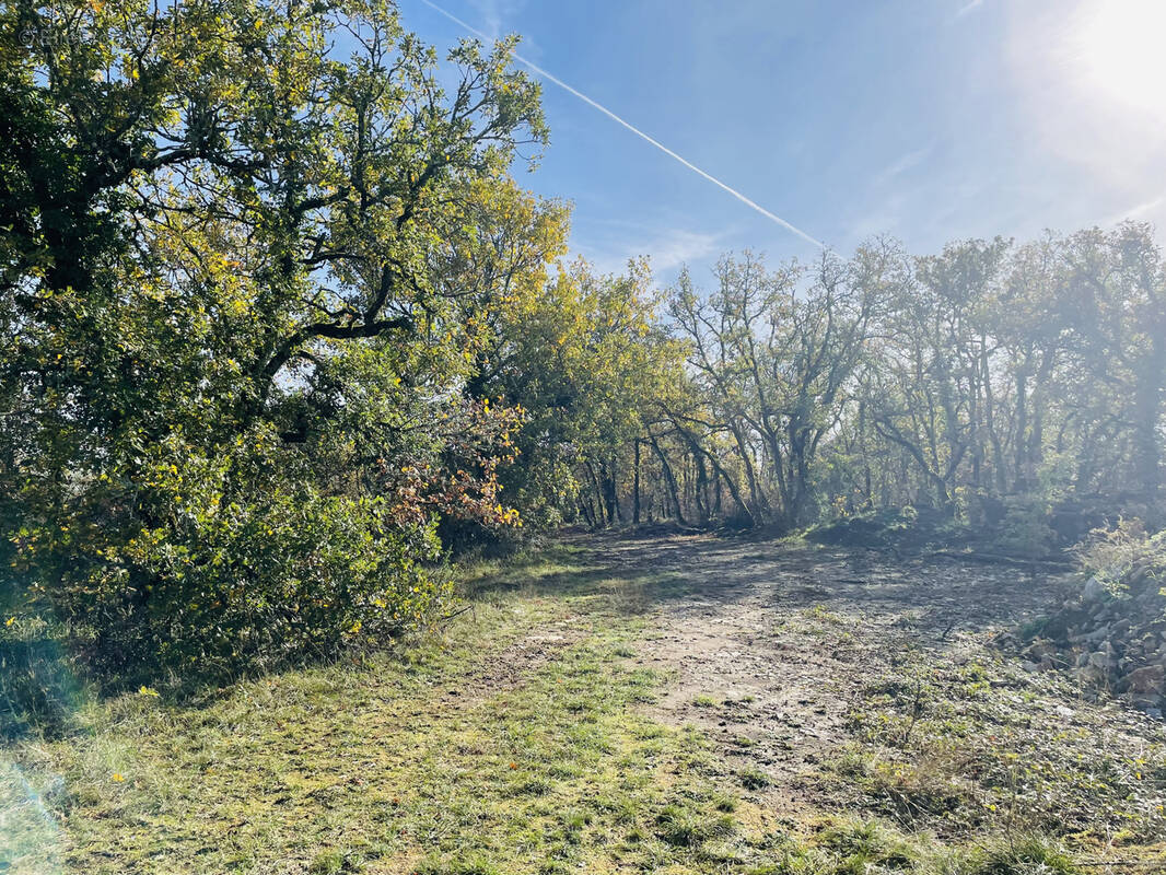 Terrain à SAINT-CERNIN-DE-LARCHE