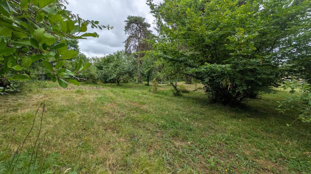 Maison À Vendre - photo 13