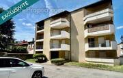 Photo 1 - Appartement à MAZAMET
