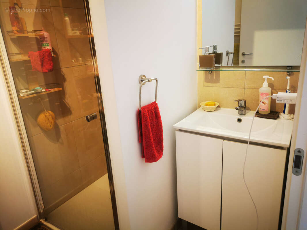 Appartement à LINGUIZZETTA