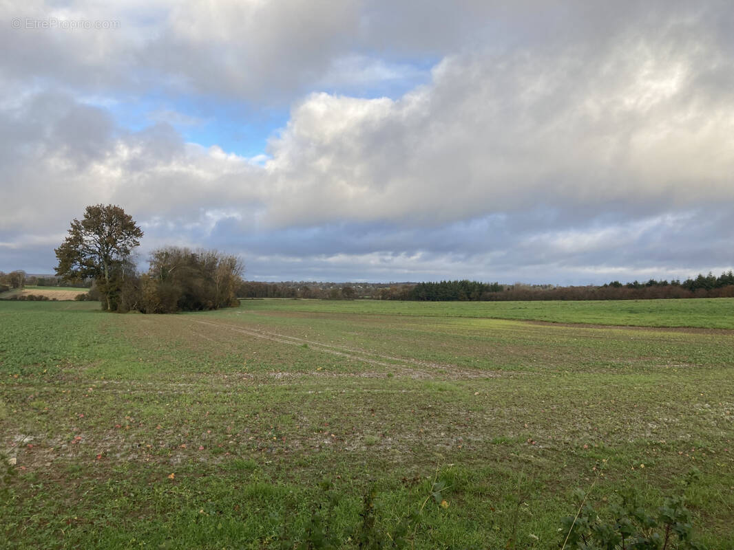Terrain à SAINT-GERMAIN-D'ELLE