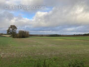 Terrain à SAINT-GERMAIN-D'ELLE