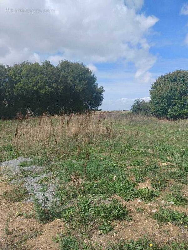 Terrain à SAINTE-SOULLE