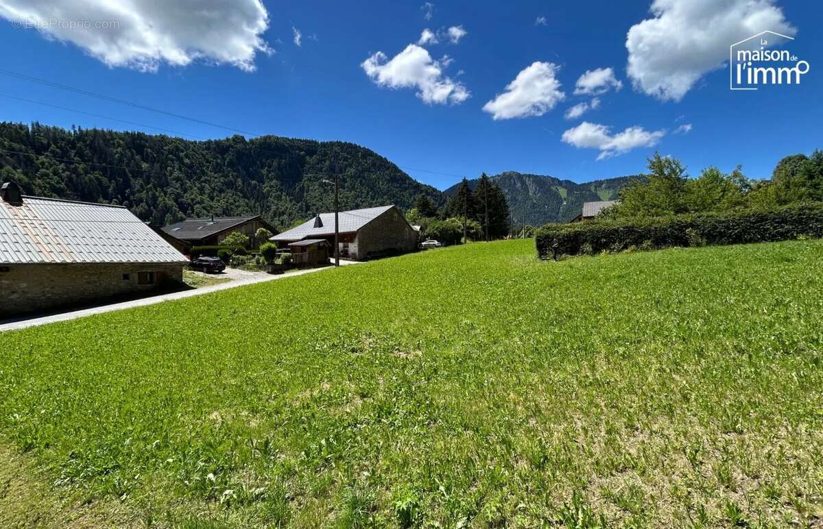 Terrain à ABONDANCE