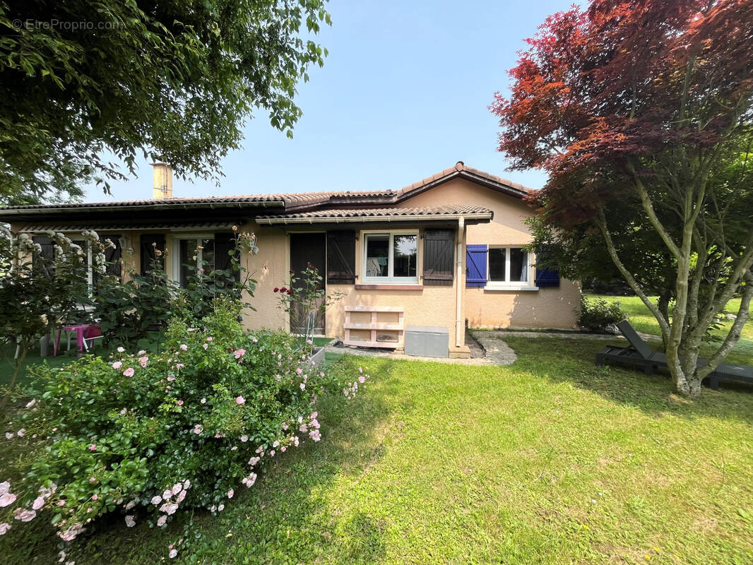 Maison à SAINT-ANDRE-DE-CORCY
