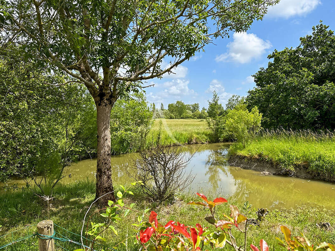 Maison au calme d'une impasse avec vue dégagée à 500m du bourg - photo 5