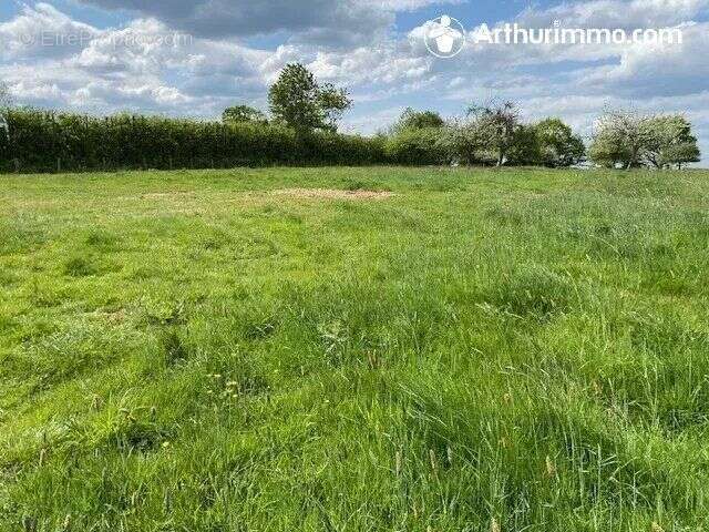 Terrain à LE MENIL-DE-BRIOUZE
