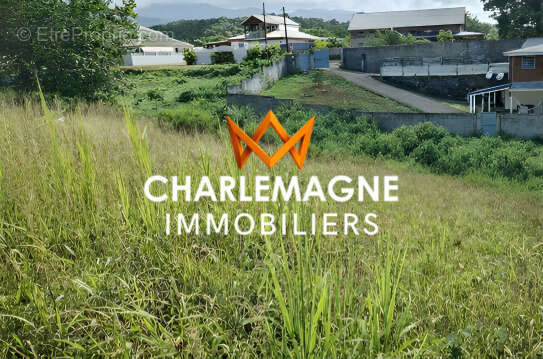 Terrain à PETIT-BOURG