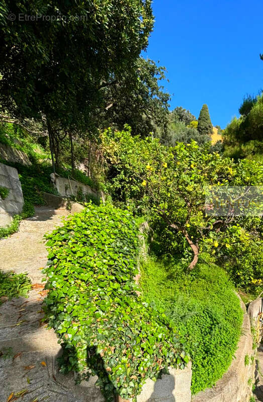 Maison à MENTON