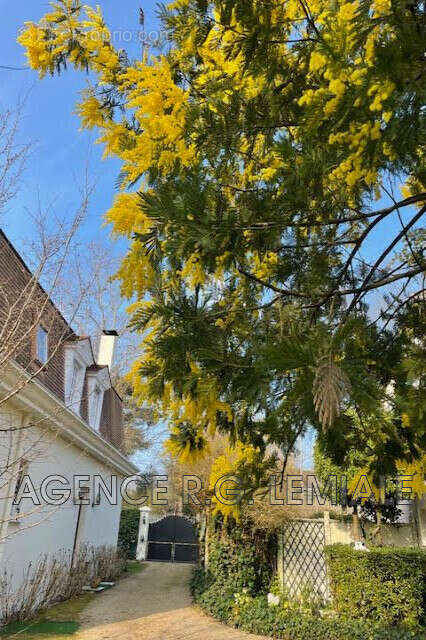 Maison à MAISONS-LAFFITTE