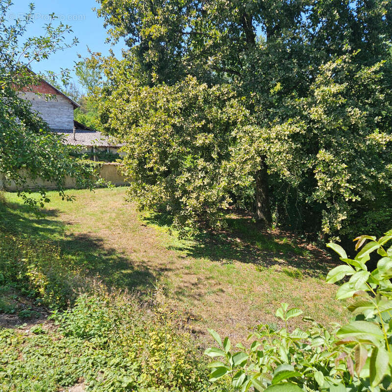 Terrain  Constructible Saint Jean D Avelanne 638 m2 - photo 4