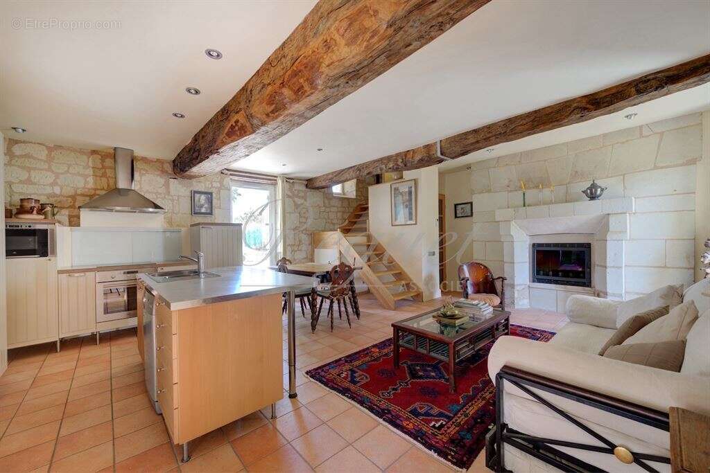 Indre et loire - chinon / thizay 37500 - maison 234 m² - 5 ch - deux gites - piscine - parc 8 000 m² - photo 12