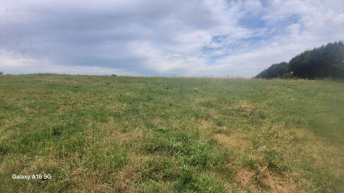 Terrain Dorengt - photo 3