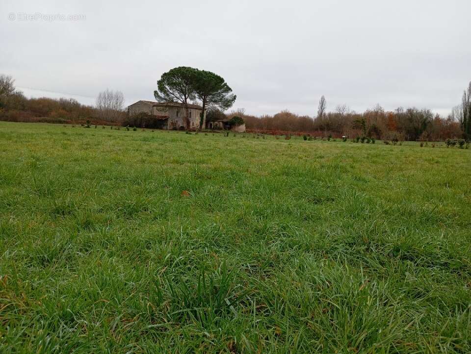 Terrain à MERIGNAS