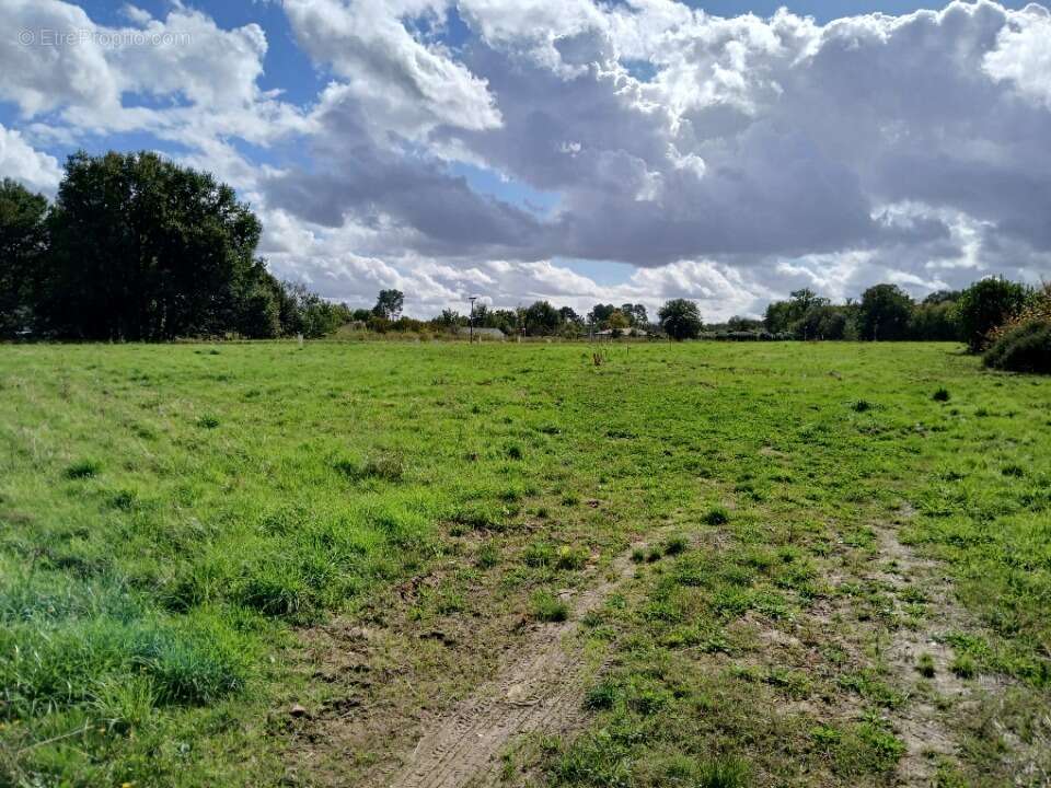 Terrain à MARSAC-SUR-L'ISLE