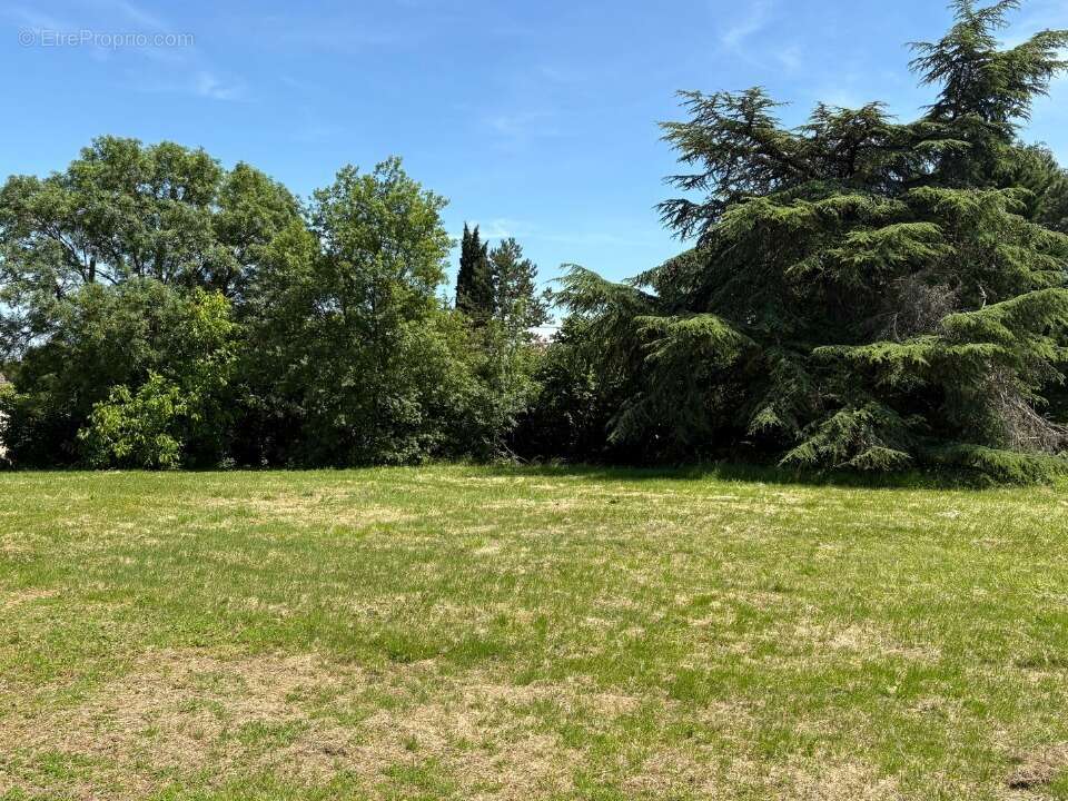 Terrain 400 m² à Castelmaurou  - photo 2