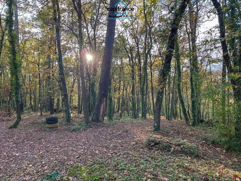 Maison à MONTCABRIER