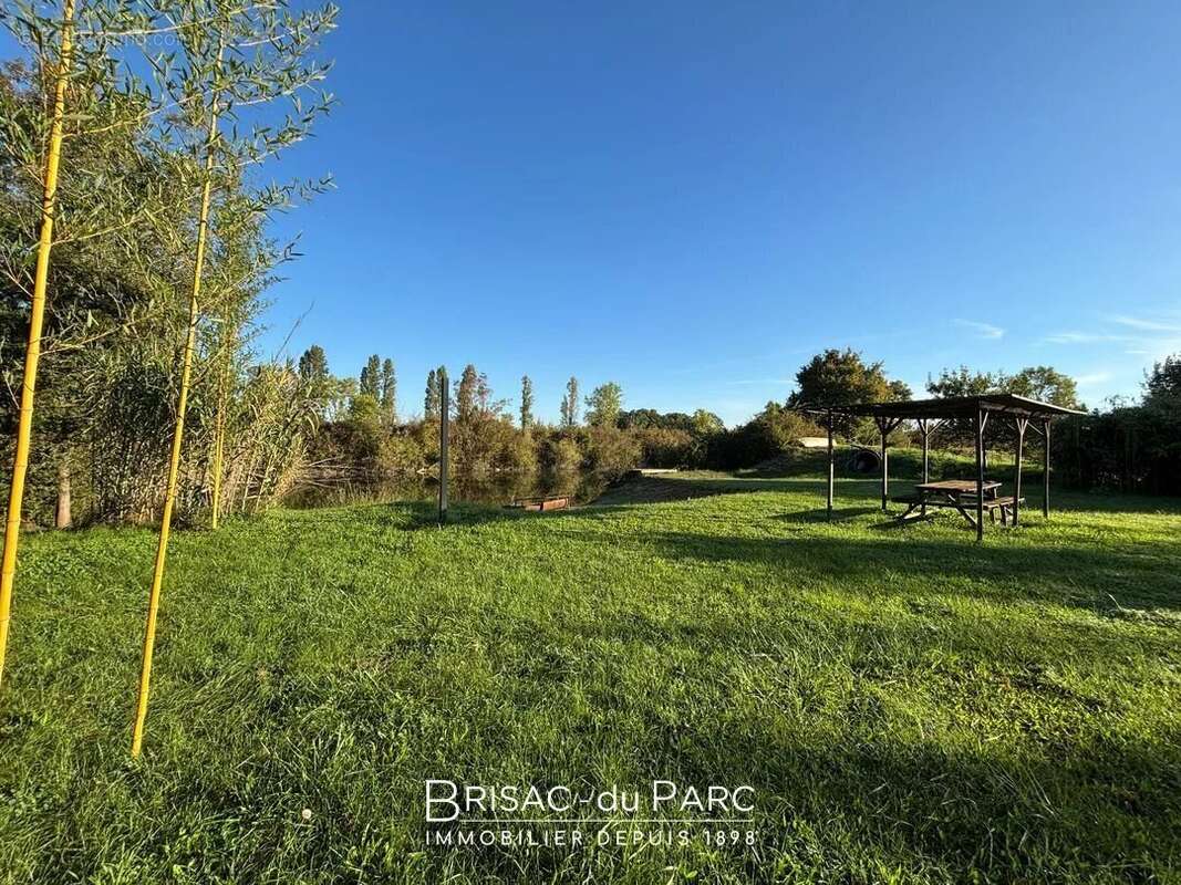 Terrain à LES MAILLYS