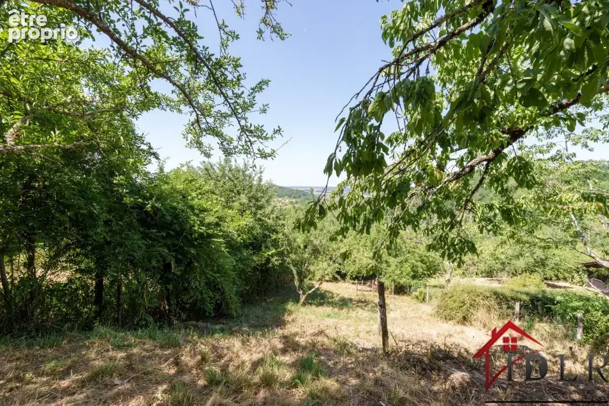RARE   Maison de Village avec Vue et Potentiel à Coiffy-le- - photo 7