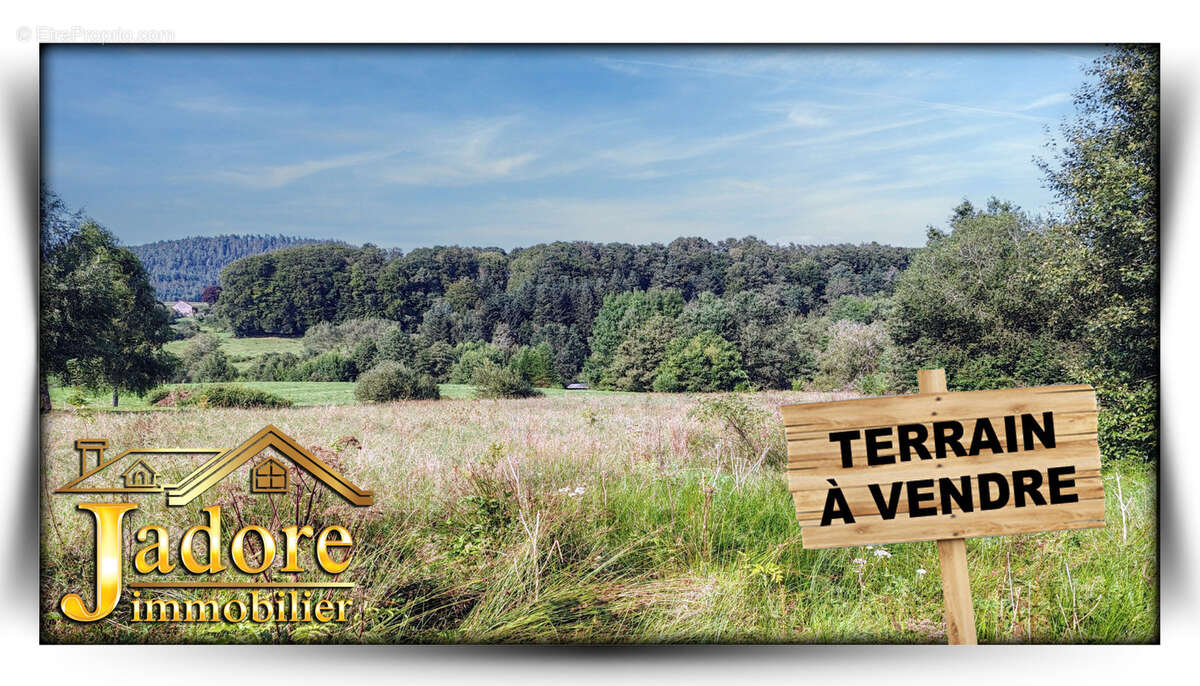 Terrain à LA CHAPELLE-DEVANT-BRUYERES