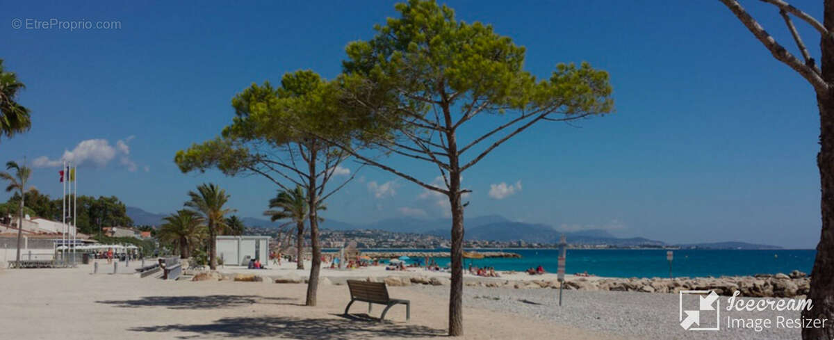Commerce à VILLENEUVE-LOUBET