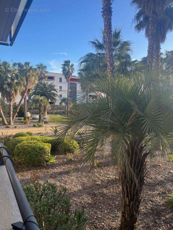 Appartement à SETE