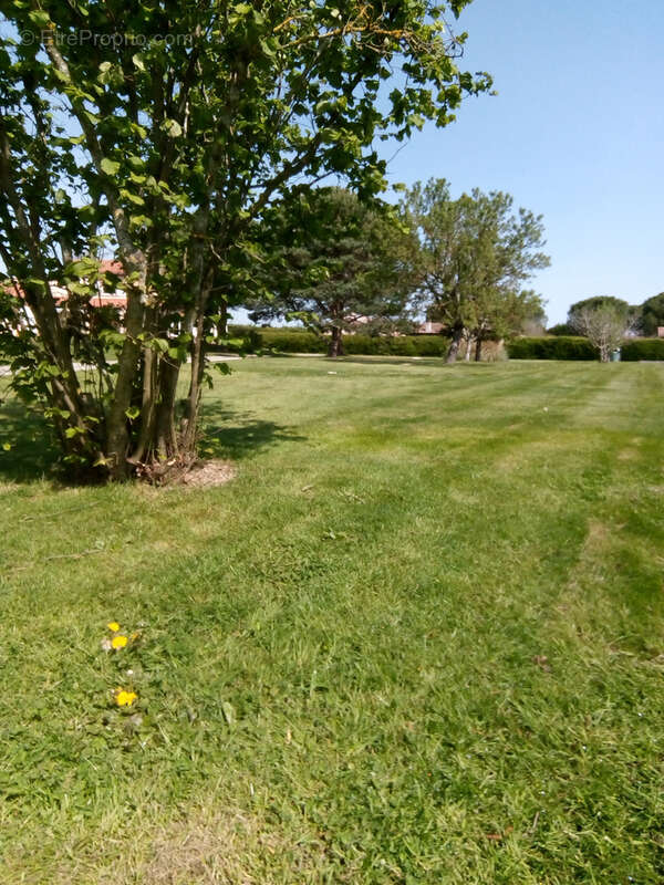 Terrain à LABARTHE-SUR-LEZE