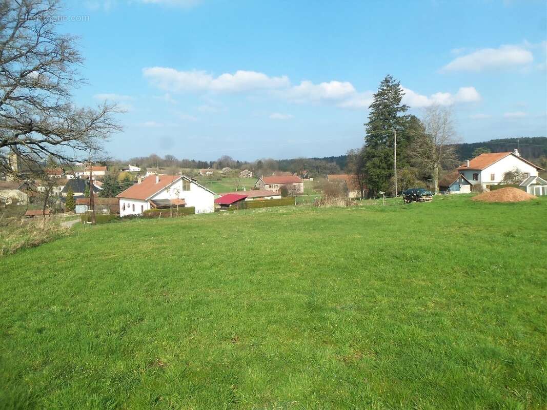 Terrain à SAINTE-BARBE