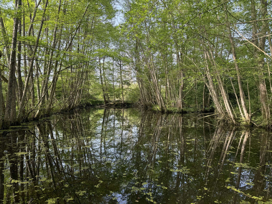 Maison à CHAMBEUGLE