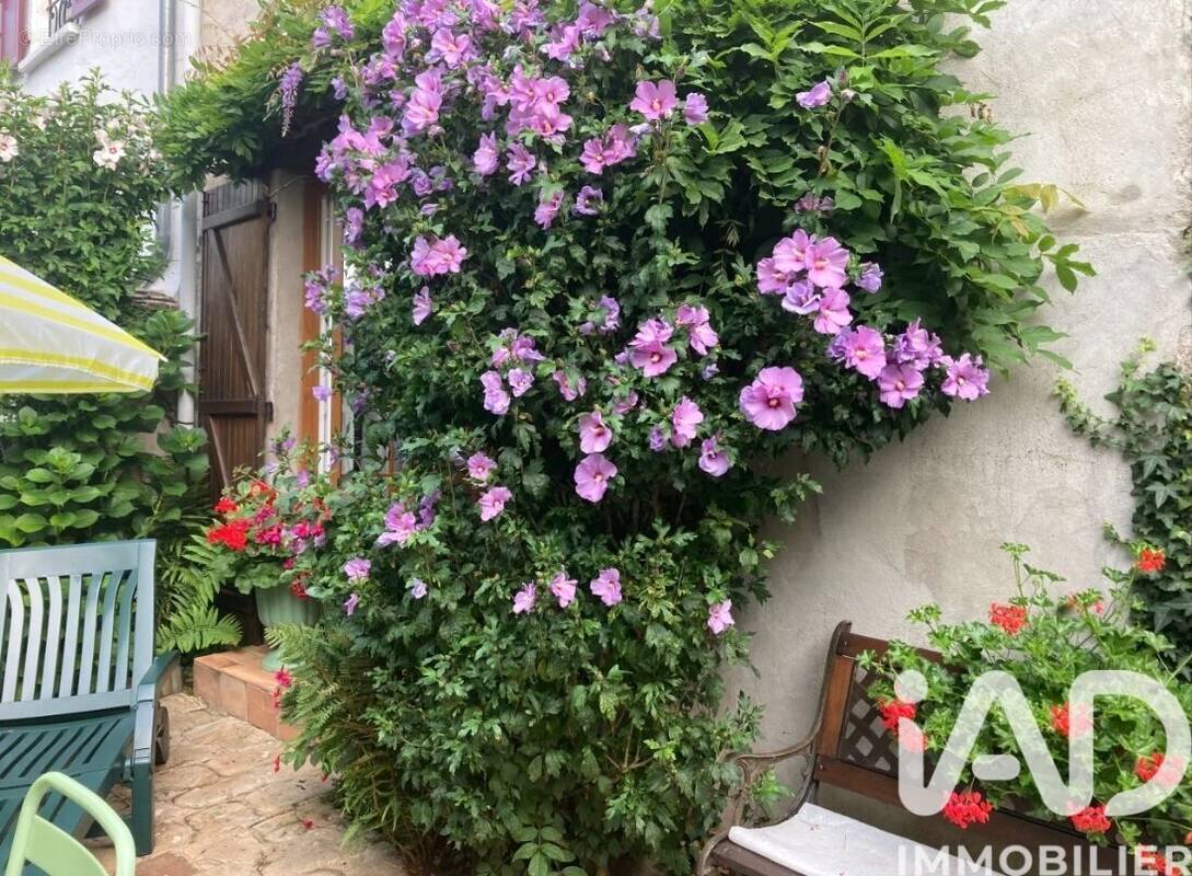 Photo 1 - Maison à TOUQUIN