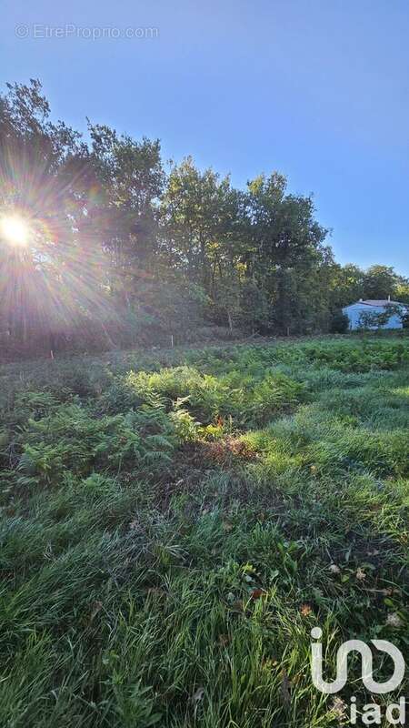 Photo 3 - Terrain à ETAULES