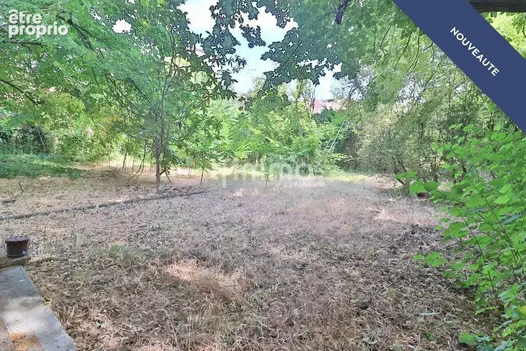 Centre Historique - Propriété de caractère : T5 avec jardin et g - photo 4
