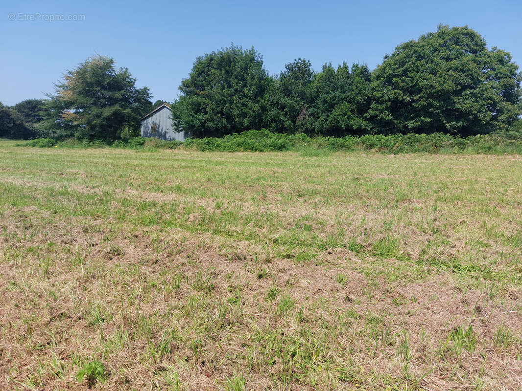 Terrain à POULDREUZIC