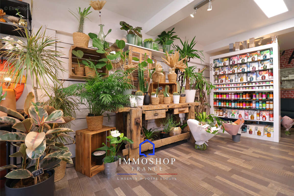 Commerce à PLAN-DE-CUQUES