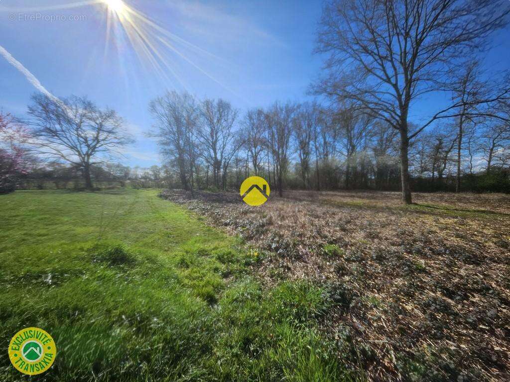 Terrain à LA GUERCHE-SUR-L'AUBOIS