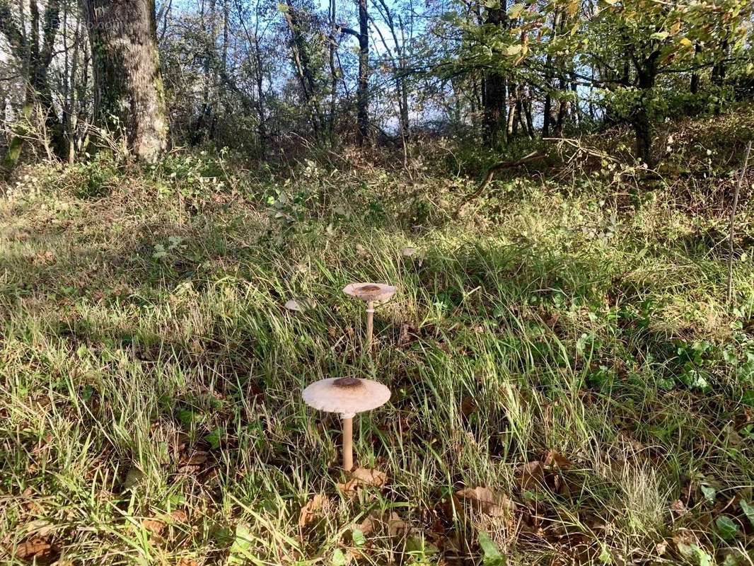 Maison à CHATEAUROUX