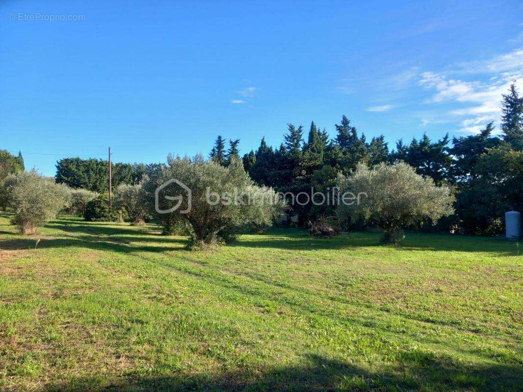 Terrain à SAINT-HILAIRE-D&#039;OZILHAN