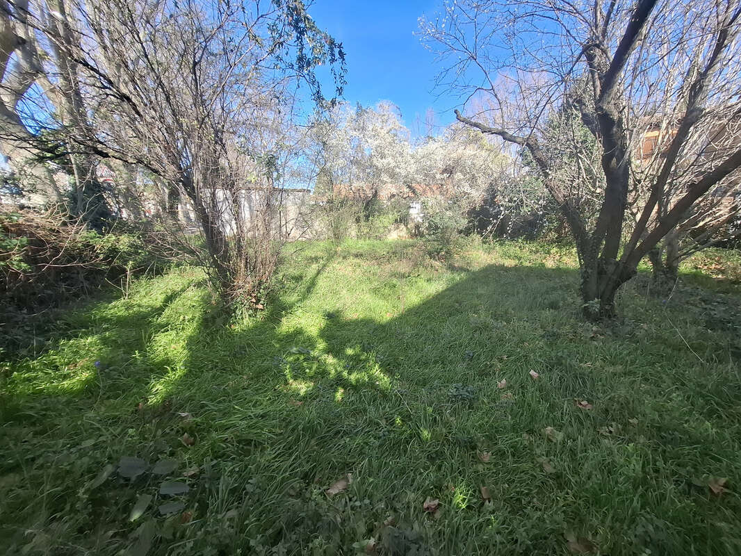 Terrain à SAINT-MARTIN-DE-CRAU