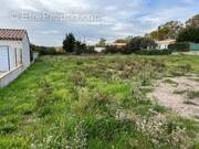 Terrain à CARNOULES