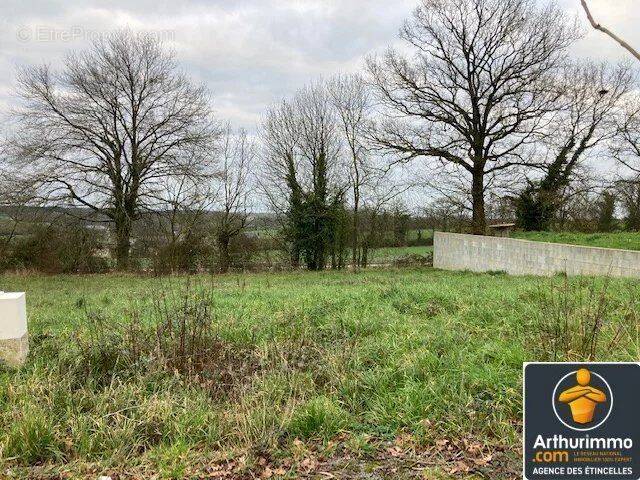 Terrain à MARTIGNE-FERCHAUD