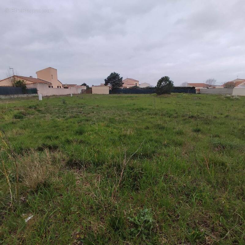 Terrain à SAINT-NAZAIRE-D'AUDE