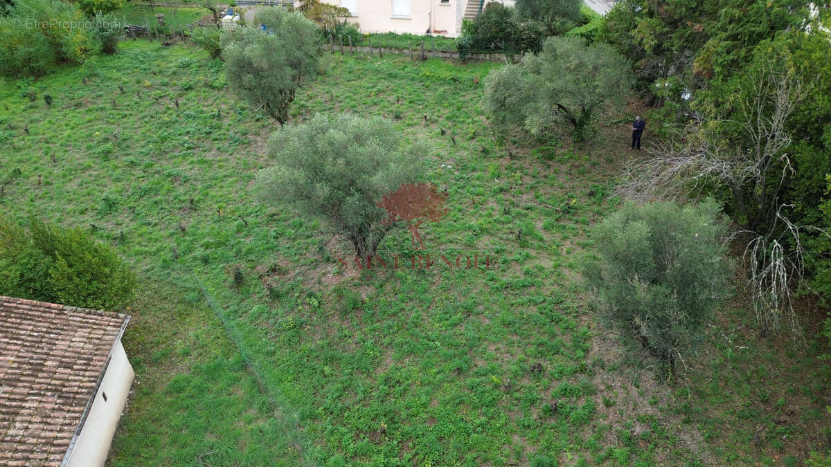 Terrain à LODEVE
