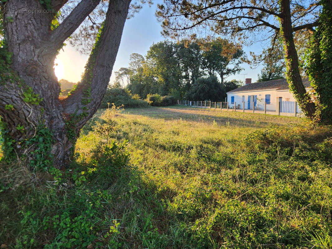 Terrain à SAINT-HILAIRE-DE-RIEZ